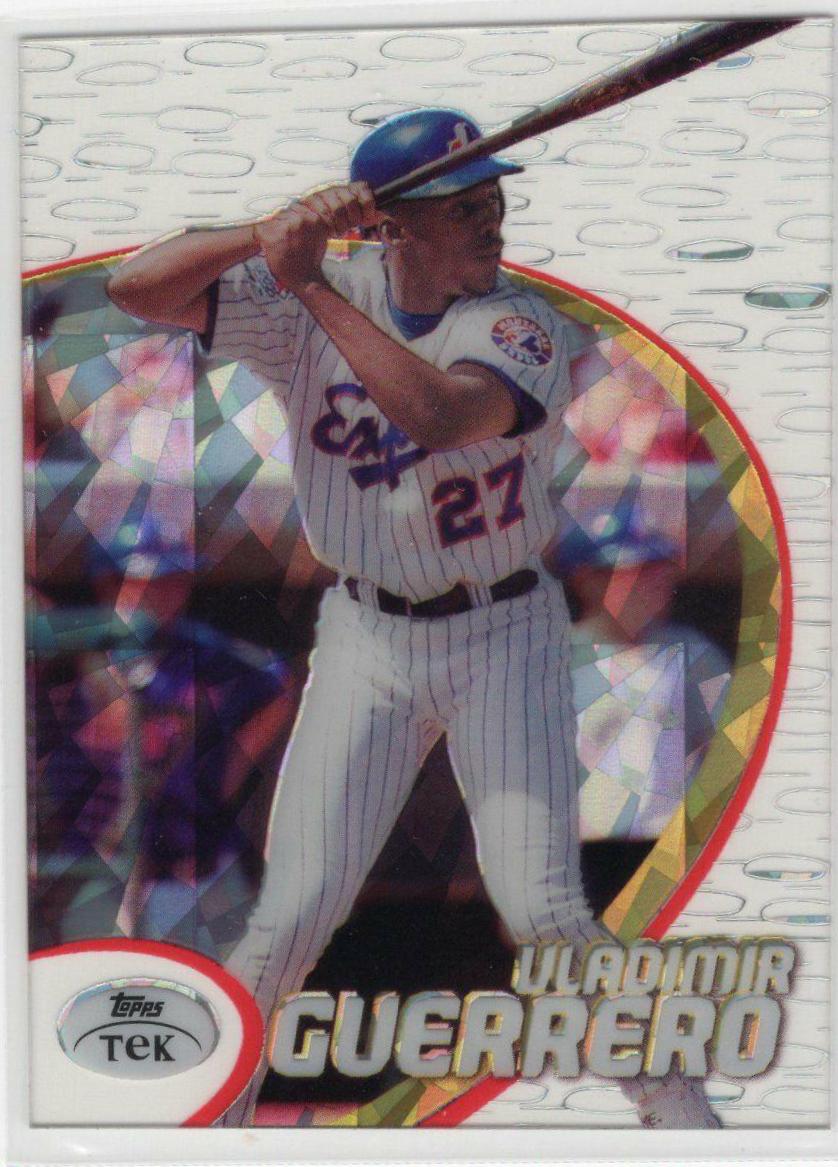 Vladimir Guerrero [Pattern 13] #17