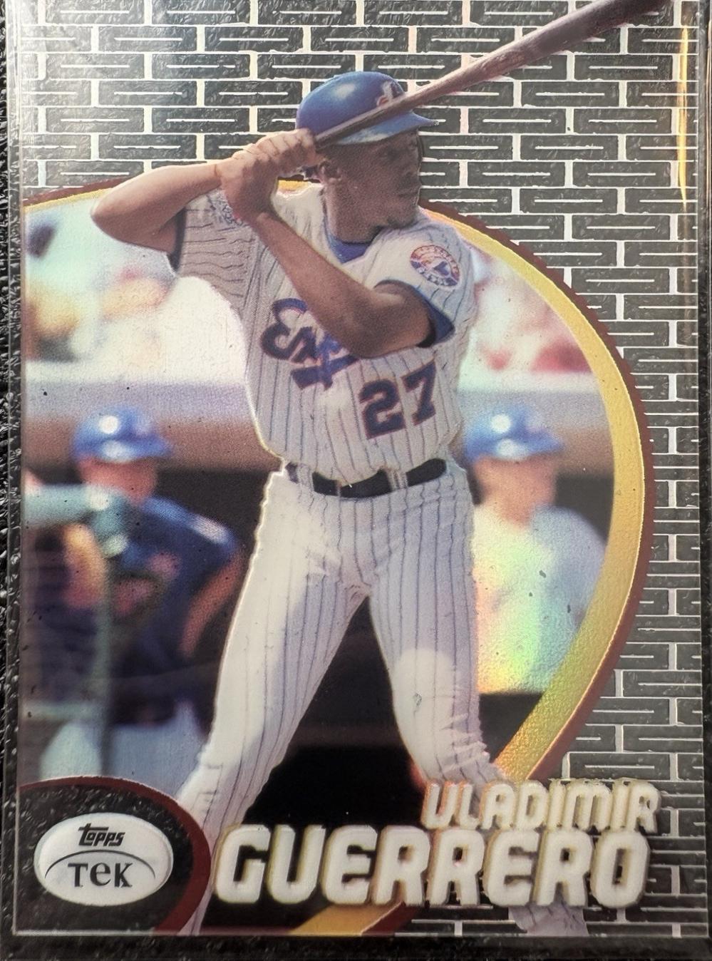 Vladimir Guerrero [Pattern 15] #17