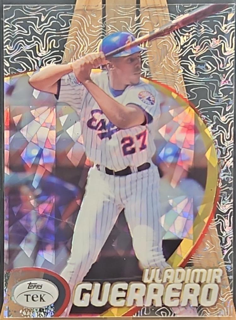 Vladimir Guerrero [Pattern 16] #17