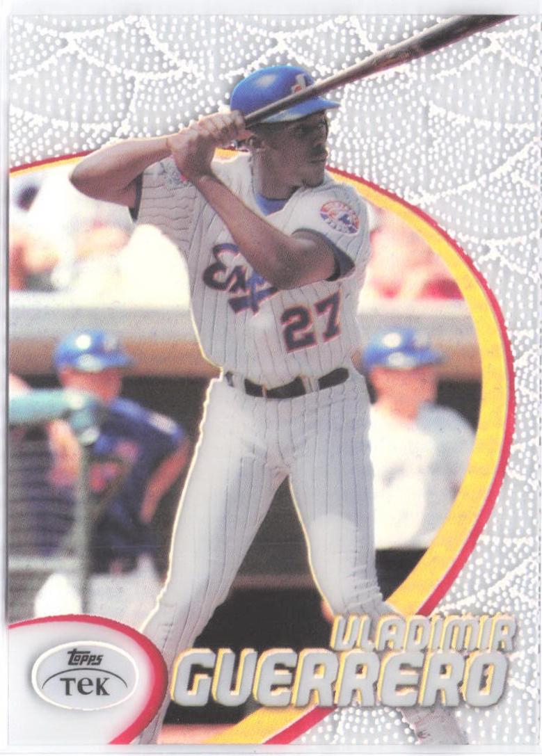 Vladimir Guerrero [Pattern 18] #17