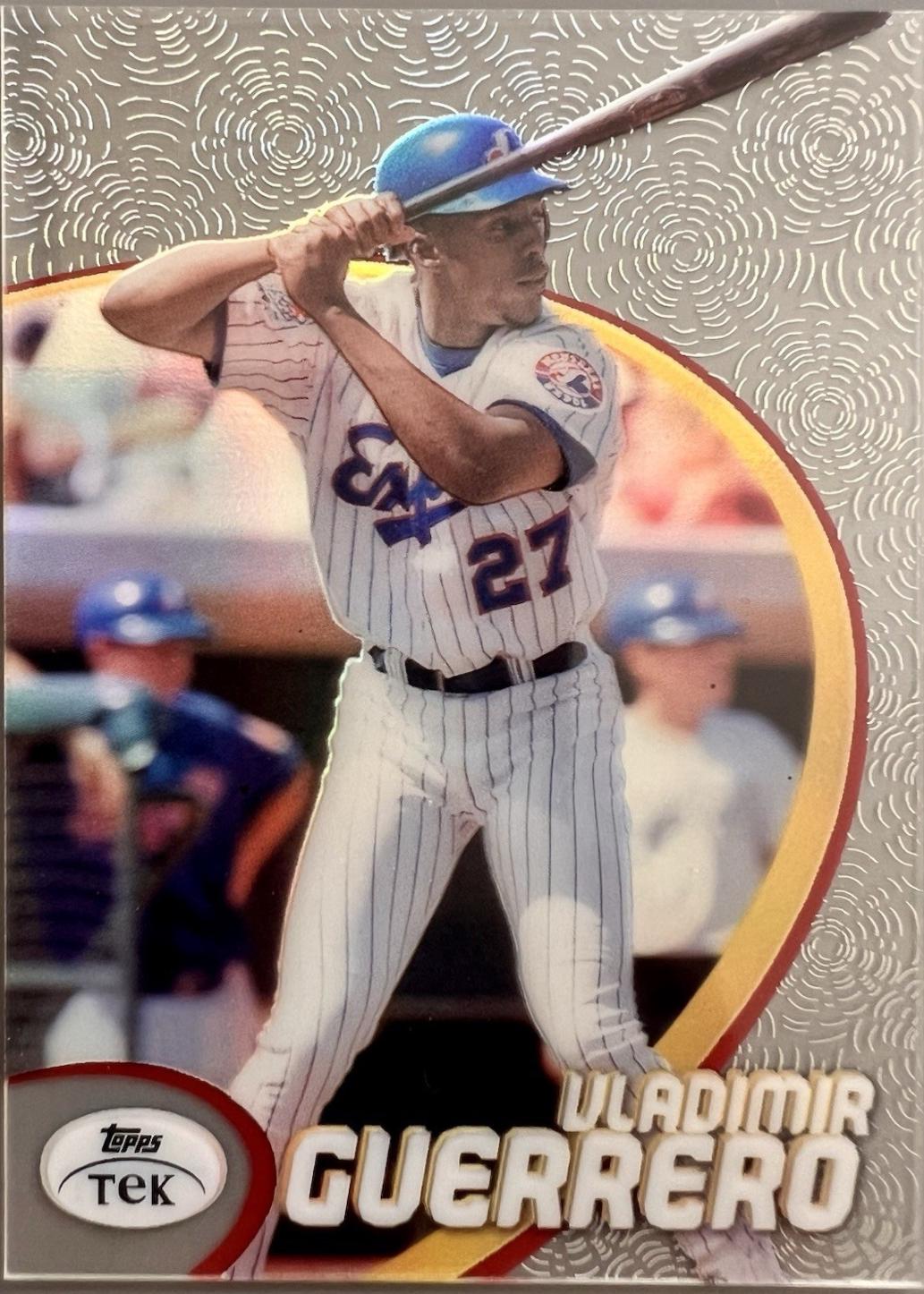 Vladimir Guerrero [Pattern 1] #17