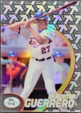 Vladimir Guerrero [Pattern 25] #17