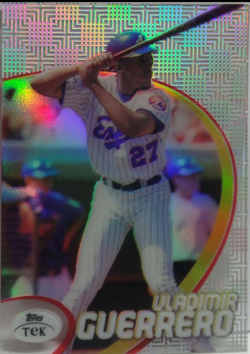Vladimir Guerrero [Pattern 26] #17