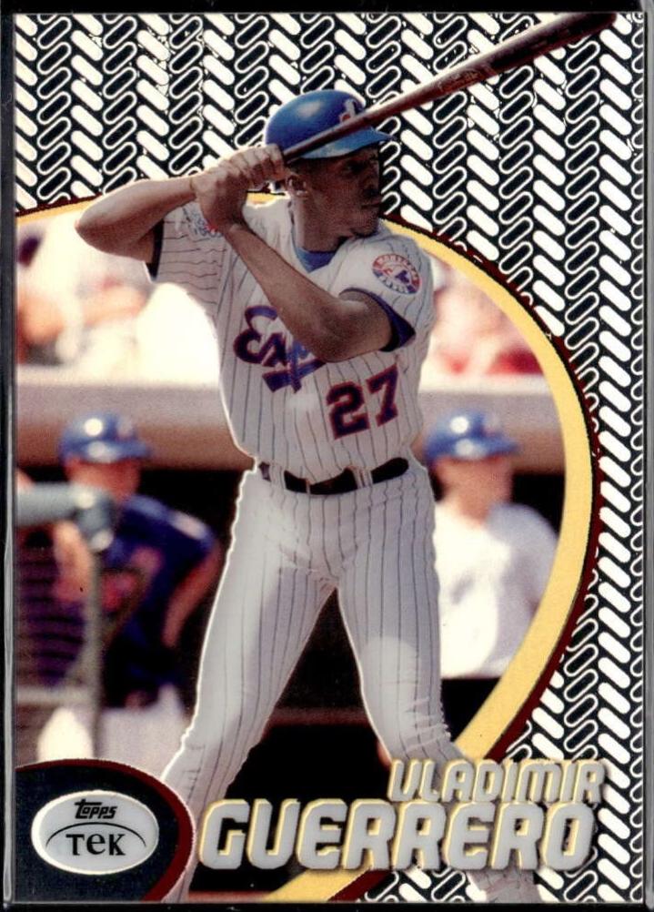 Vladimir Guerrero [Pattern 27] #17