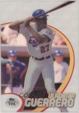 Vladimir Guerrero [Pattern 28] #17