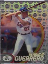 Vladimir Guerrero [Pattern 29] #17