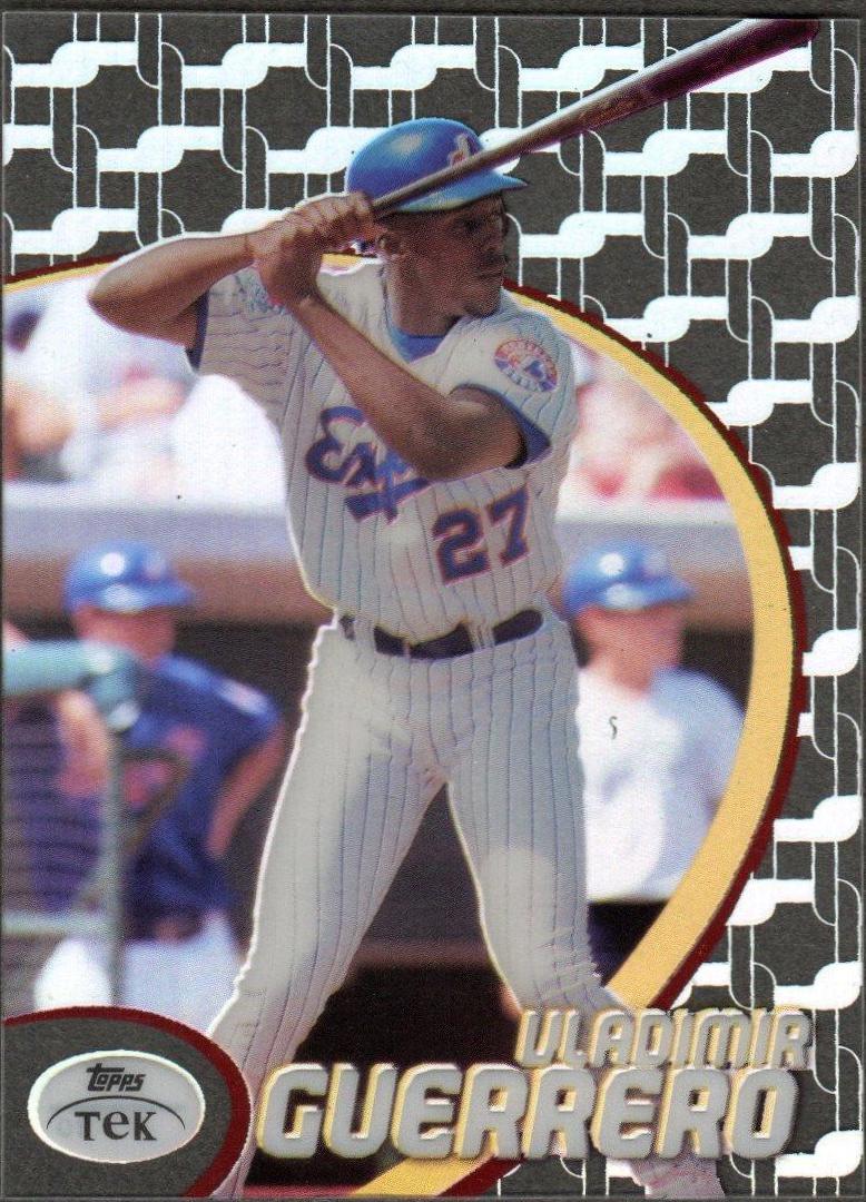 Vladimir Guerrero [Pattern 30] #17