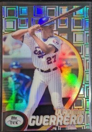 Vladimir Guerrero [Pattern 32] #17