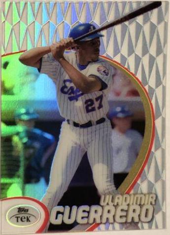 Vladimir Guerrero [Pattern 35] #17