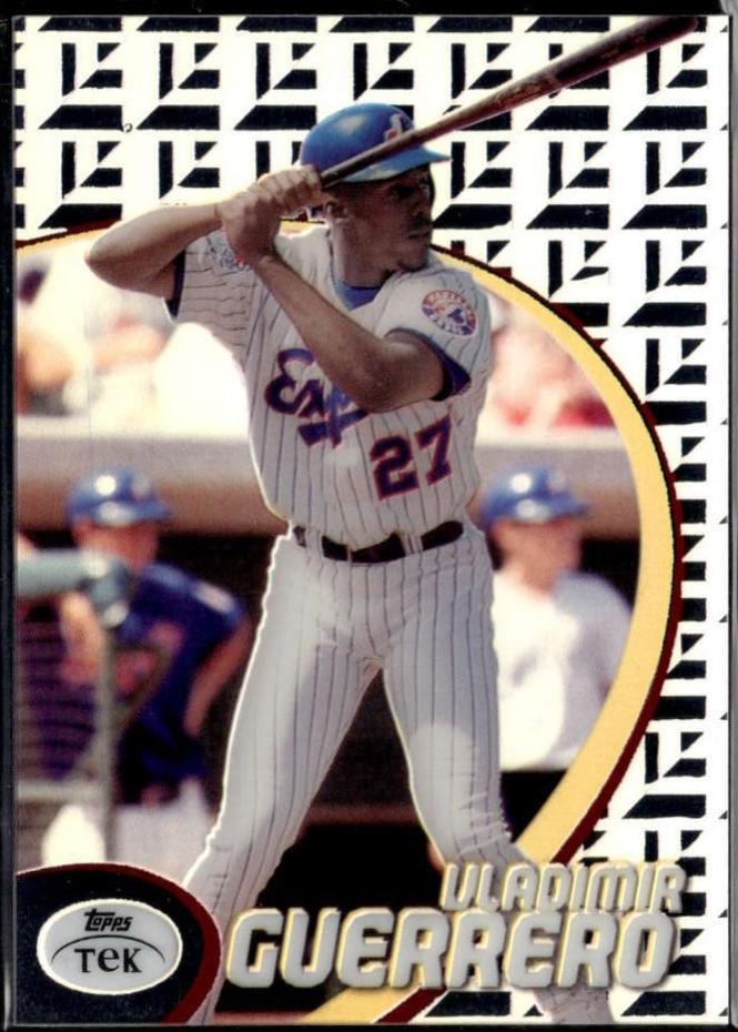 Vladimir Guerrero [Pattern 37] #17
