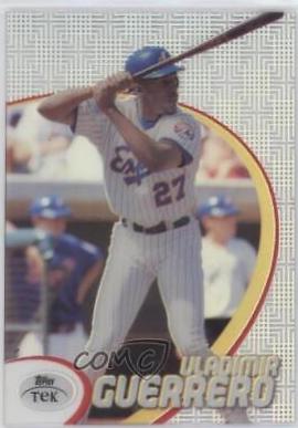 Vladimir Guerrero [Pattern 40] #17