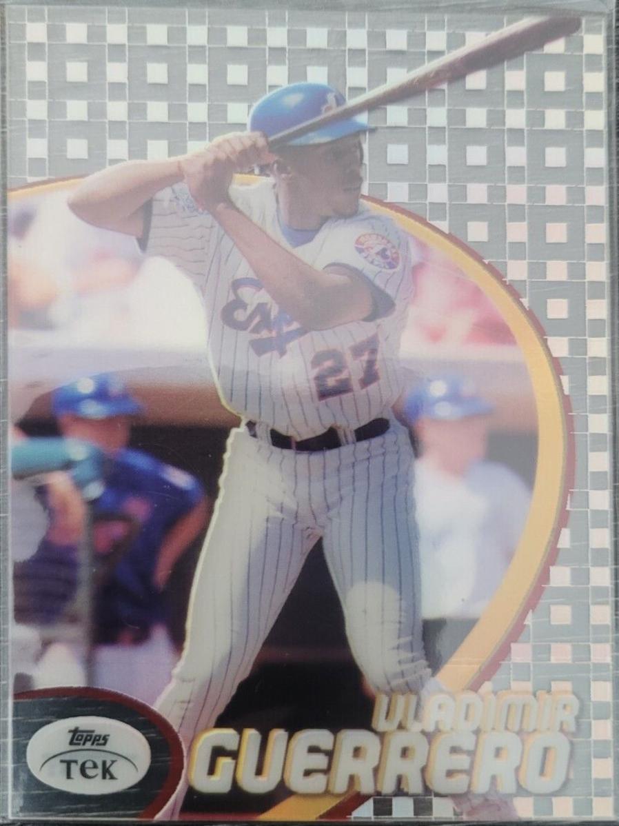Vladimir Guerrero [Pattern 41] #17