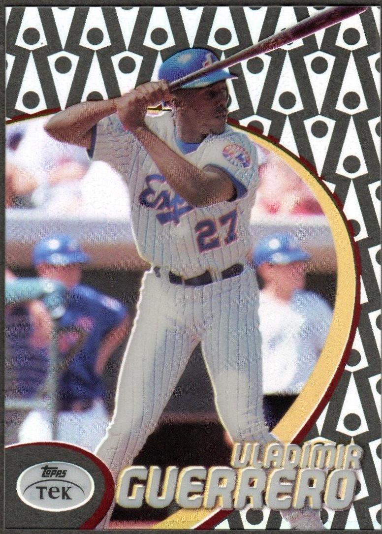 Vladimir Guerrero [Pattern 42] #17