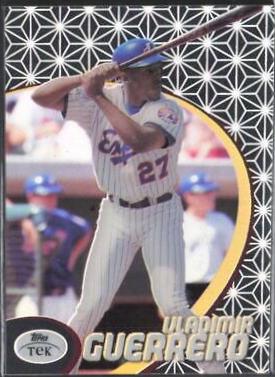 Vladimir Guerrero [Pattern 44] #17