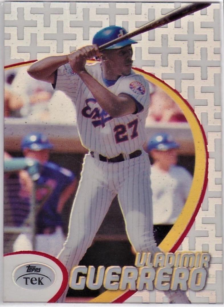 Vladimir Guerrero [Pattern 47] #17