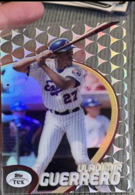 Vladimir Guerrero [Pattern 48] #17