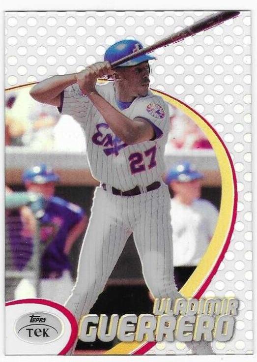 Vladimir Guerrero [Pattern 4] #17