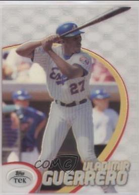 Vladimir Guerrero [Pattern 50] #17