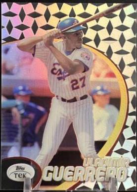 Vladimir Guerrero [Pattern 52] #17