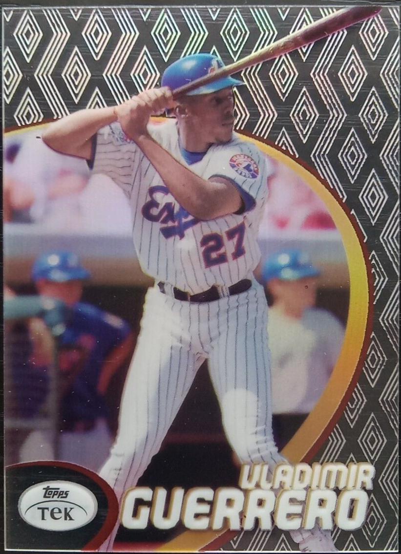 Vladimir Guerrero [Pattern 53] #17