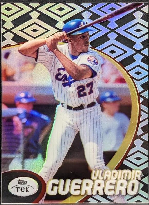 Vladimir Guerrero [Pattern 60] #17