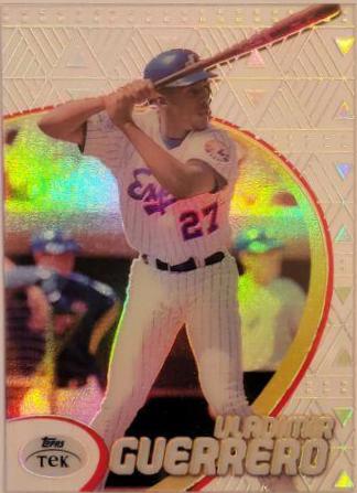 Vladimir Guerrero [Pattern 69] #17