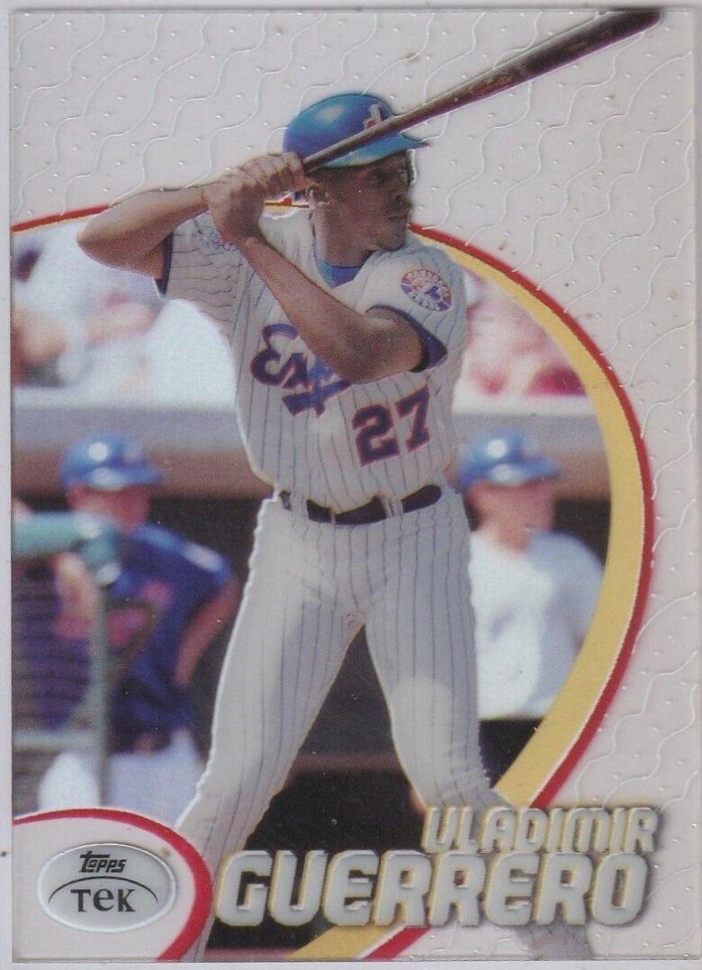 Vladimir Guerrero [Pattern 6] #17