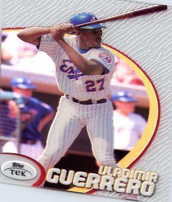 Vladimir Guerrero [Pattern 72] #17