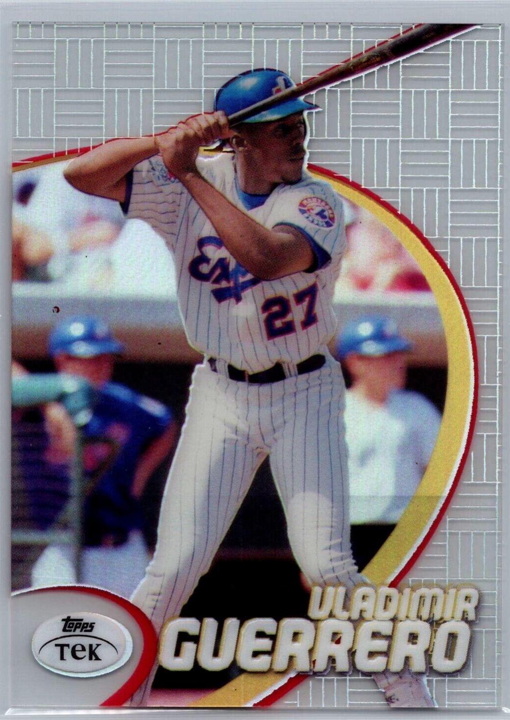 Vladimir Guerrero [Pattern 73] #17