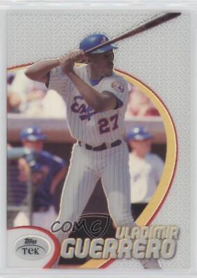 Vladimir Guerrero [Pattern 76] #17