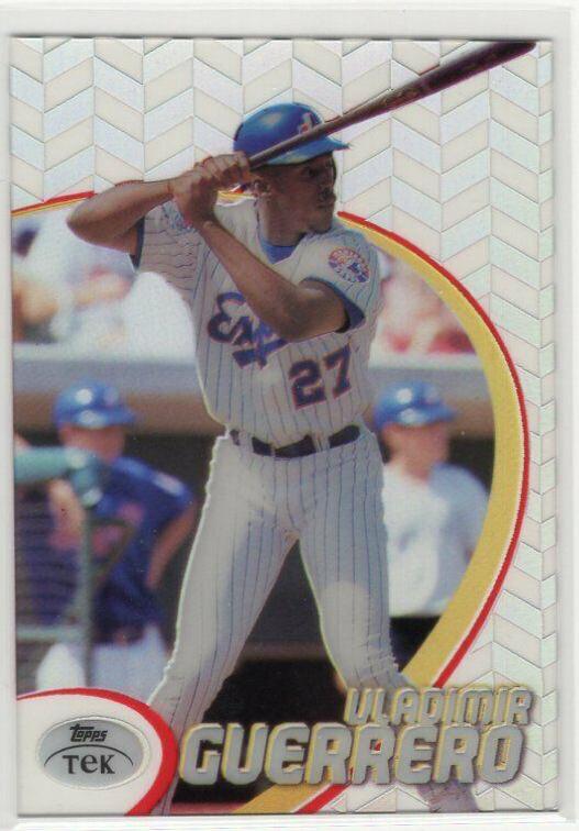 Vladimir Guerrero [Pattern 77] #17