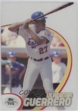 Vladimir Guerrero [Pattern 78] #17