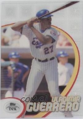 Vladimir Guerrero [Pattern 83] #17