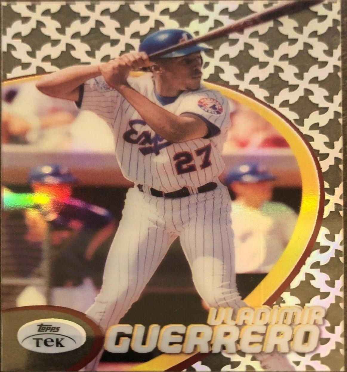 Vladimir Guerrero [Pattern 84] #17