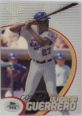 Vladimir Guerrero [Pattern 85] #17