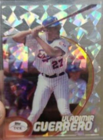 Vladimir Guerrero [Pattern 86] #17