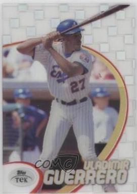 Vladimir Guerrero [Pattern 88] #17