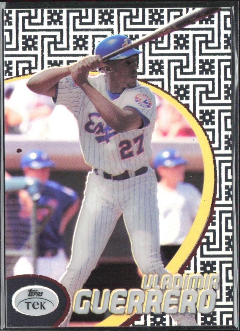 Vladimir Guerrero [Pattern 89] #17