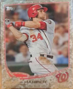 Bryce Harper [Camo] #369