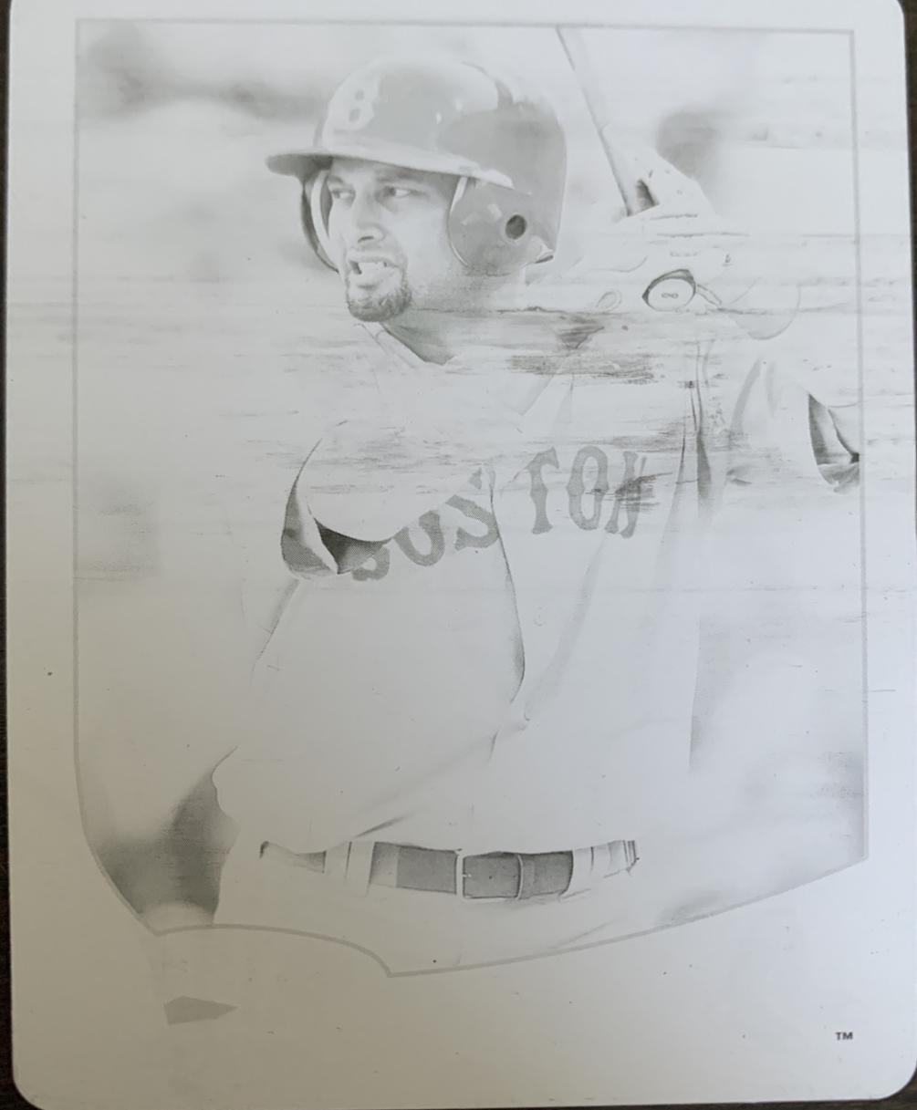 Shane Victorino [Printing Plate] #399