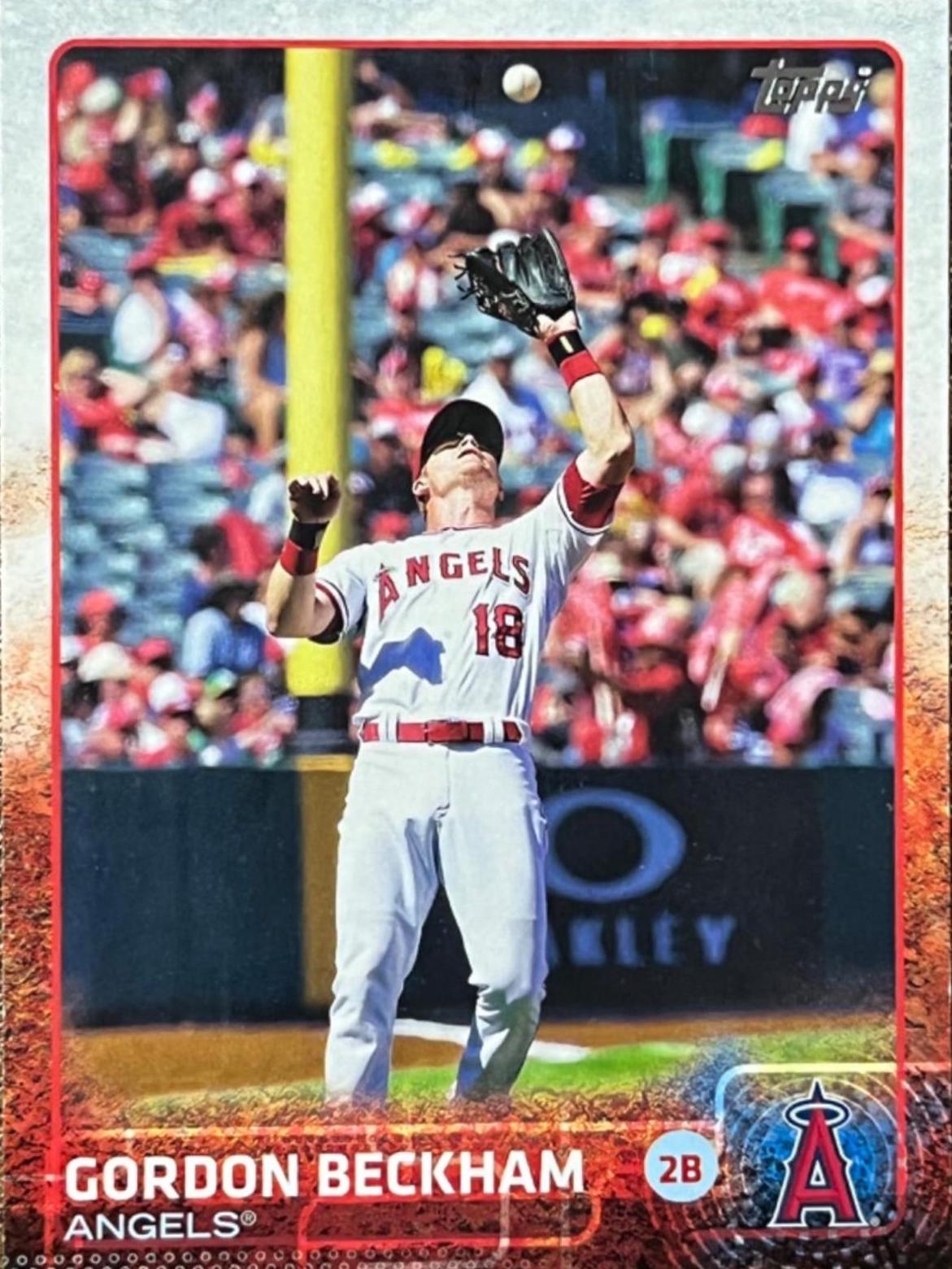Gordon Beckham #102