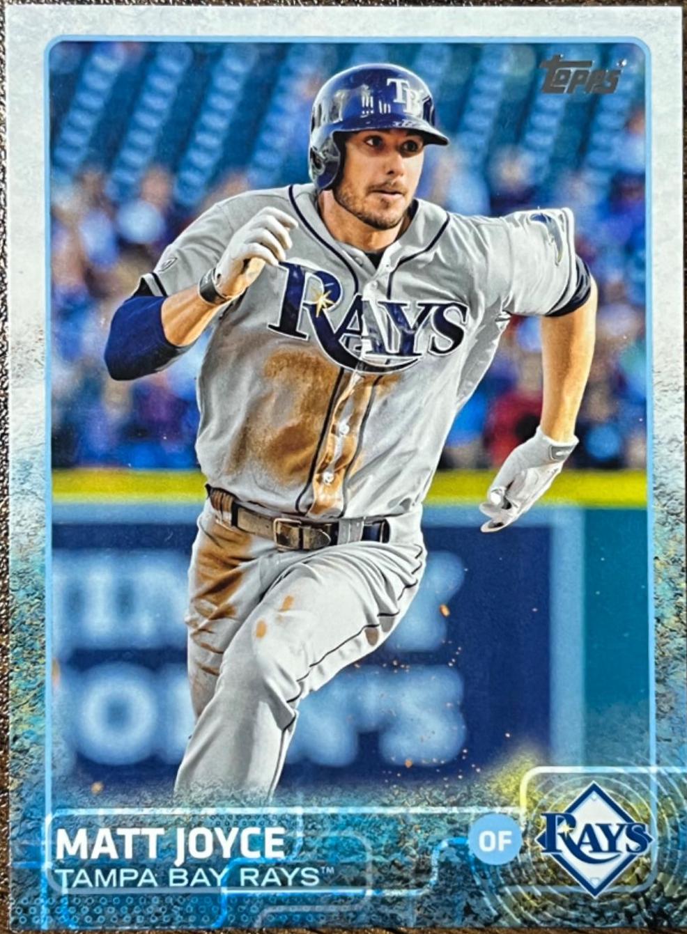 Matt Joyce #289