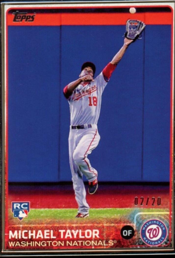 Michael Taylor [Framed] #132