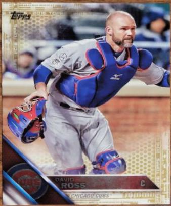 David Ross [Gold] #441