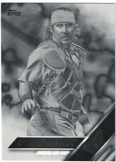 Ryan Hanigan [Negative] #260