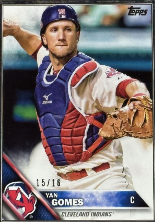 Yan Gomes [Framed] #30