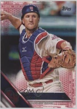 Yan Gomes [Pink] #30