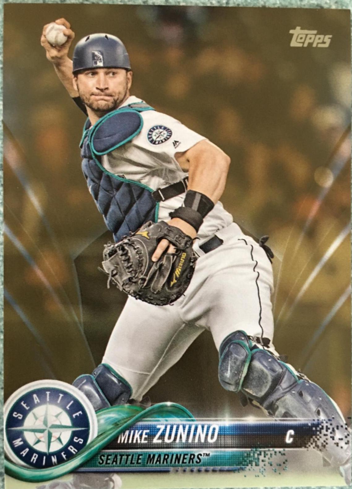 Mike Zunino #513