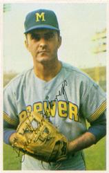 Tim Wheeler #31