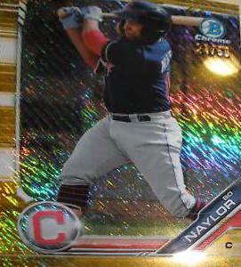Bo Naylor [Gold Shimmer Refractor] #BCP-194